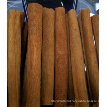 Hot Sale Cheap Price agricultural product cinnamon cassia vera